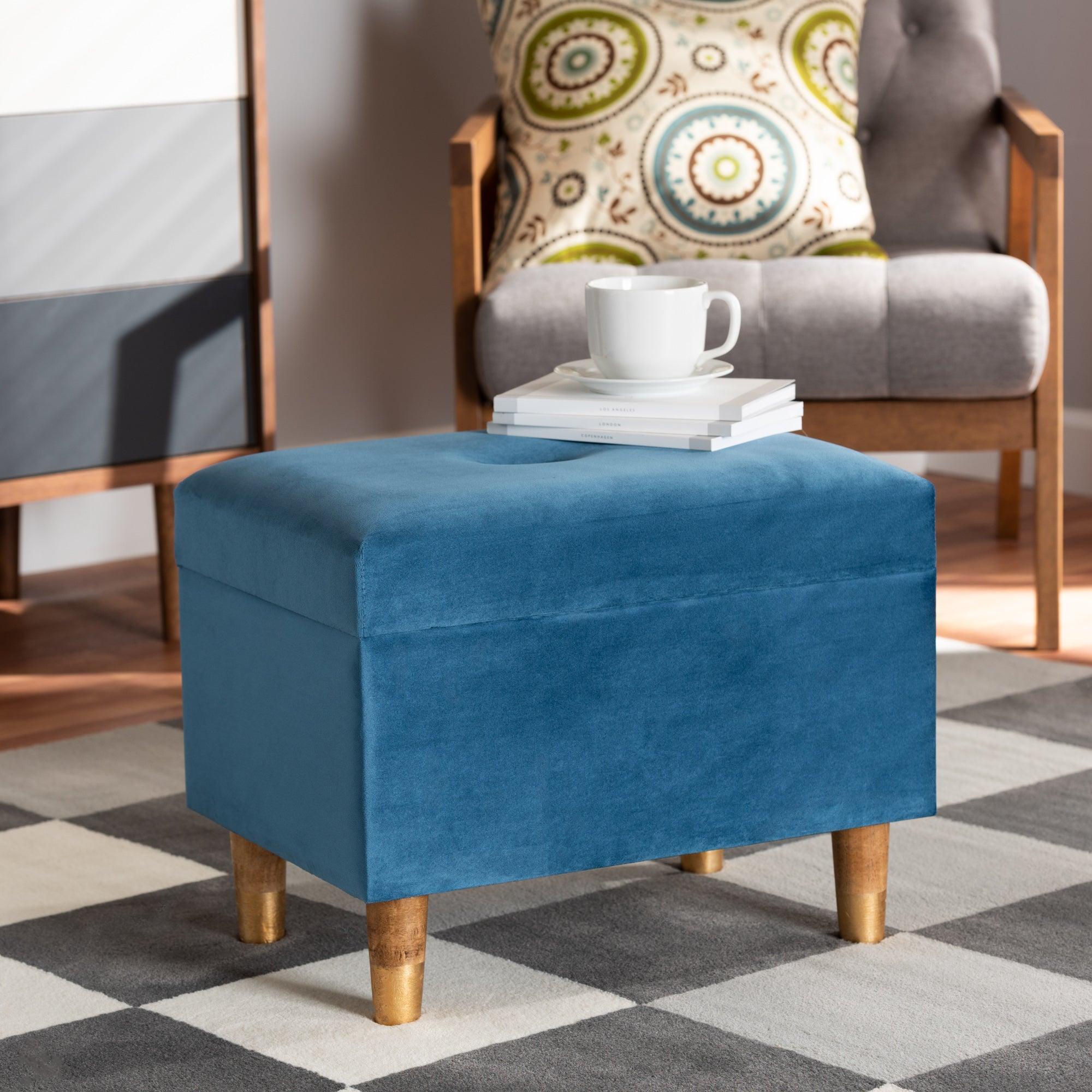 Elias Modern and Contemporary Sky Velvet Fabric Upholstered and Finished Wood Storage Ottoman