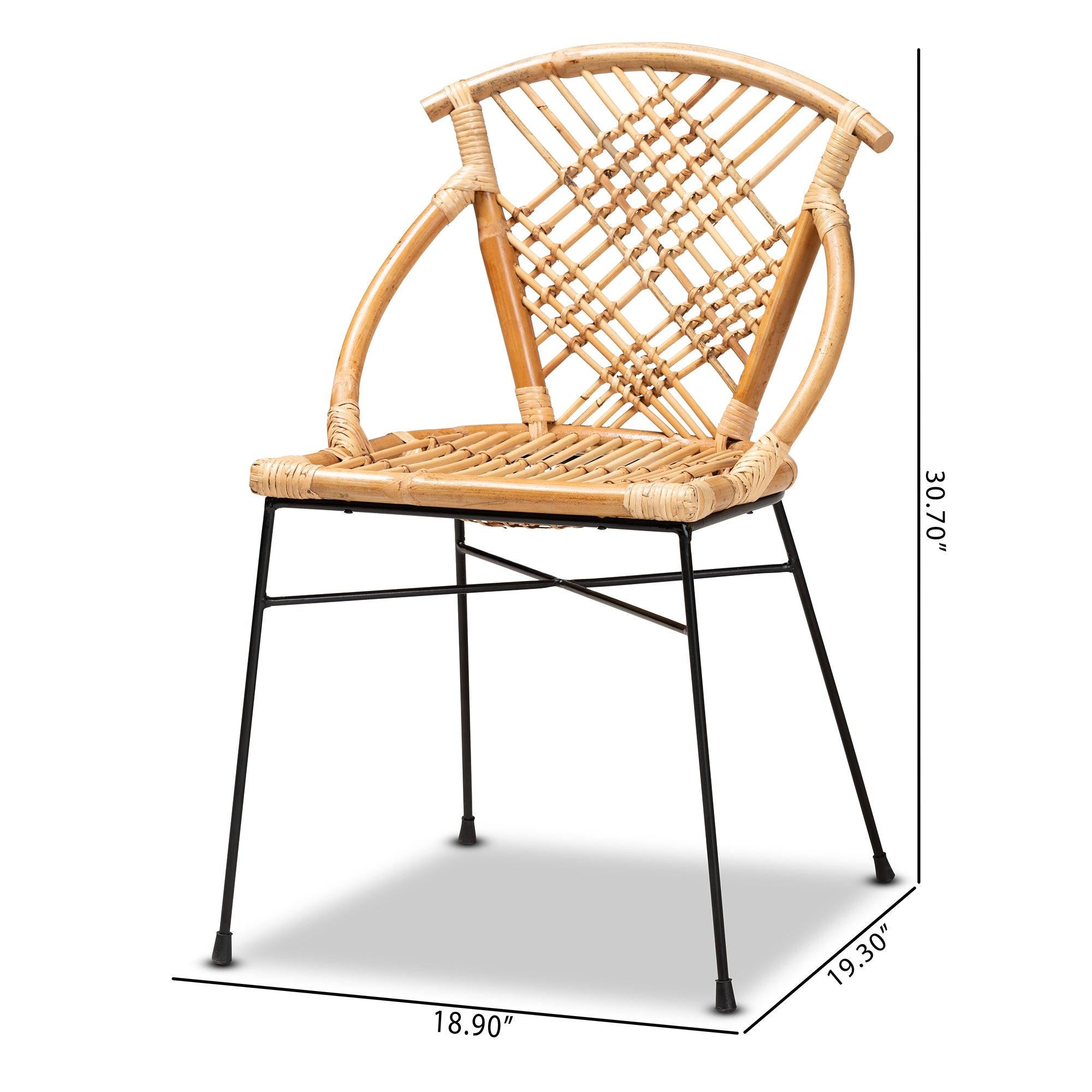 bali & pari Pro Modern Bohemian Rattan and Metal 2-Piece Dining Chair Set