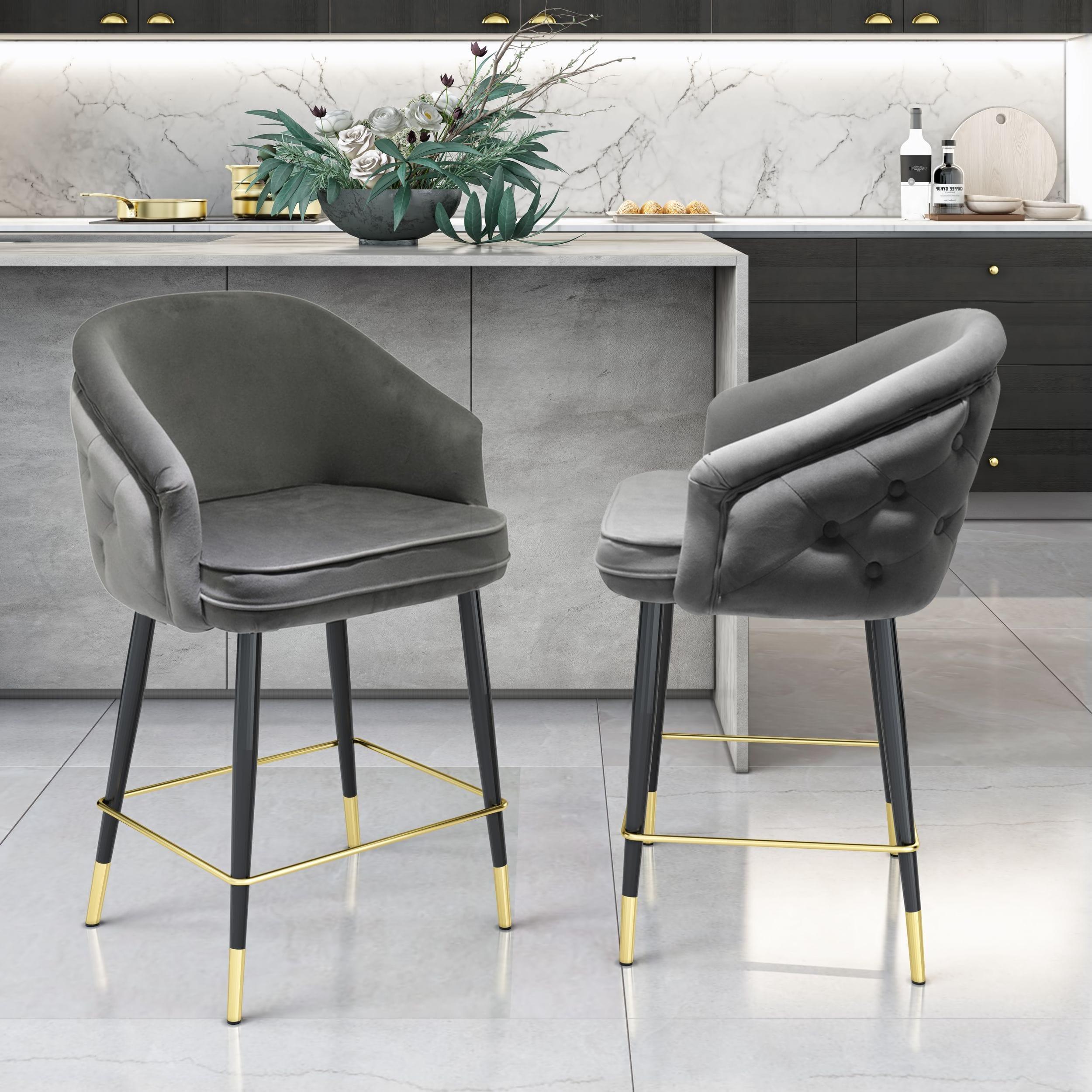 Modrest Elliot Contemporary / Dining Bar Stool (Set of 2)