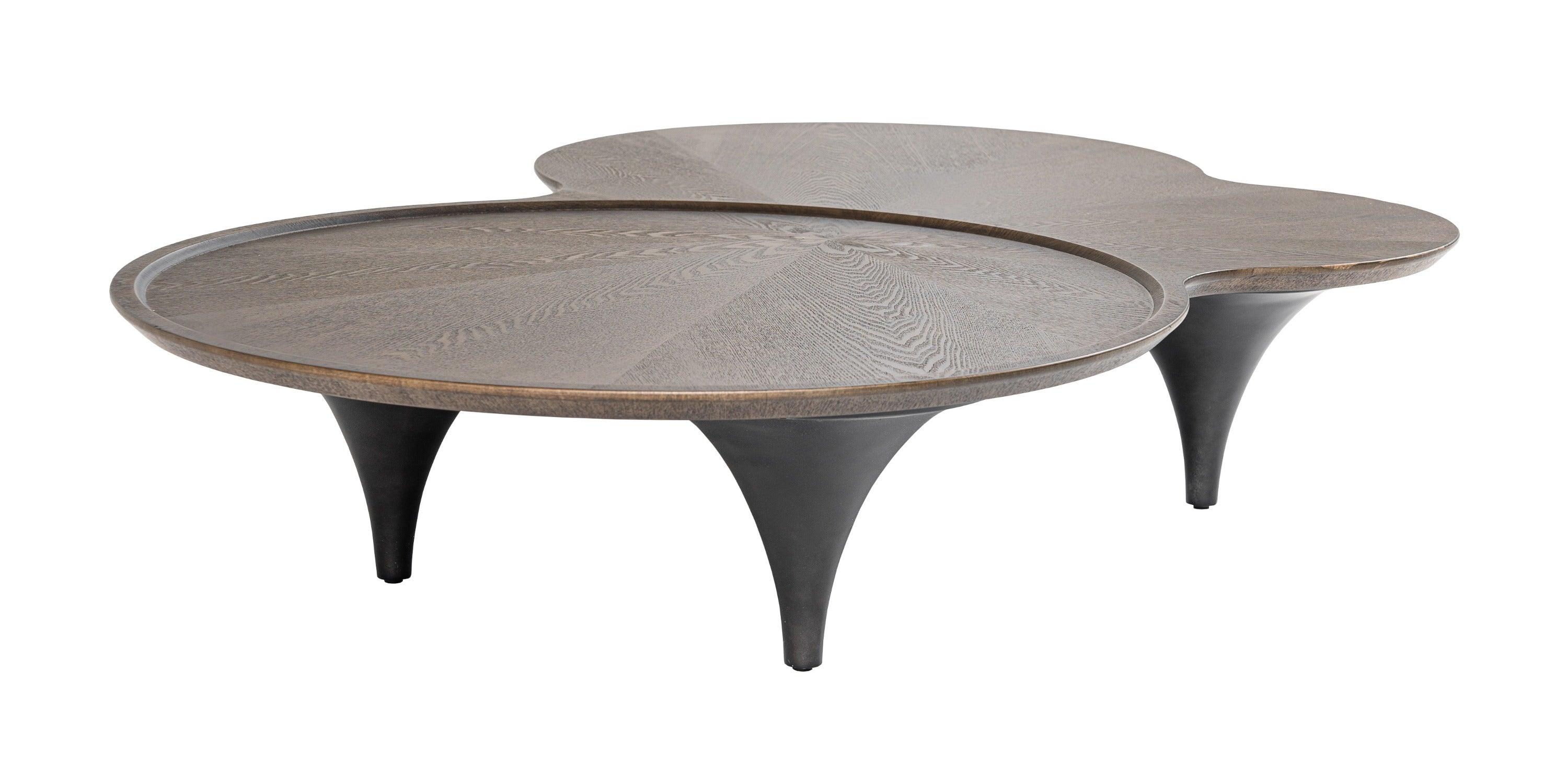 Modrest Beulah Modern Free Form Dark Ash Coffee Table