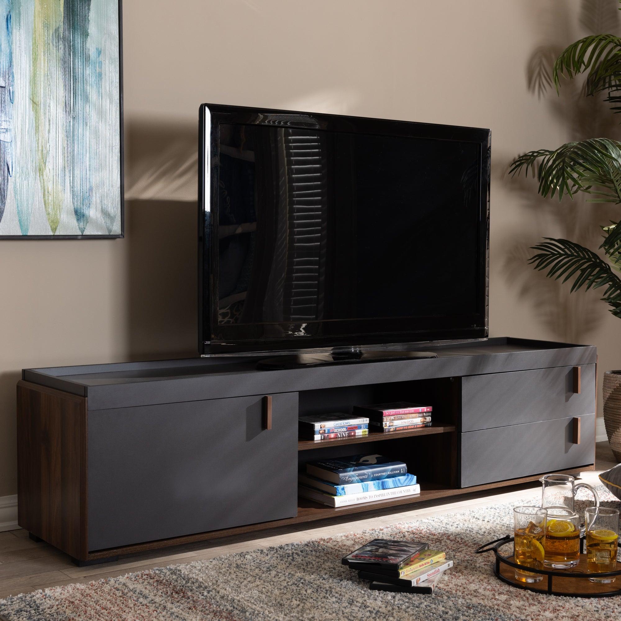 Rikke Modern and Contemporary Two-Tone and Finished Wood 2-Drawer TV Stand