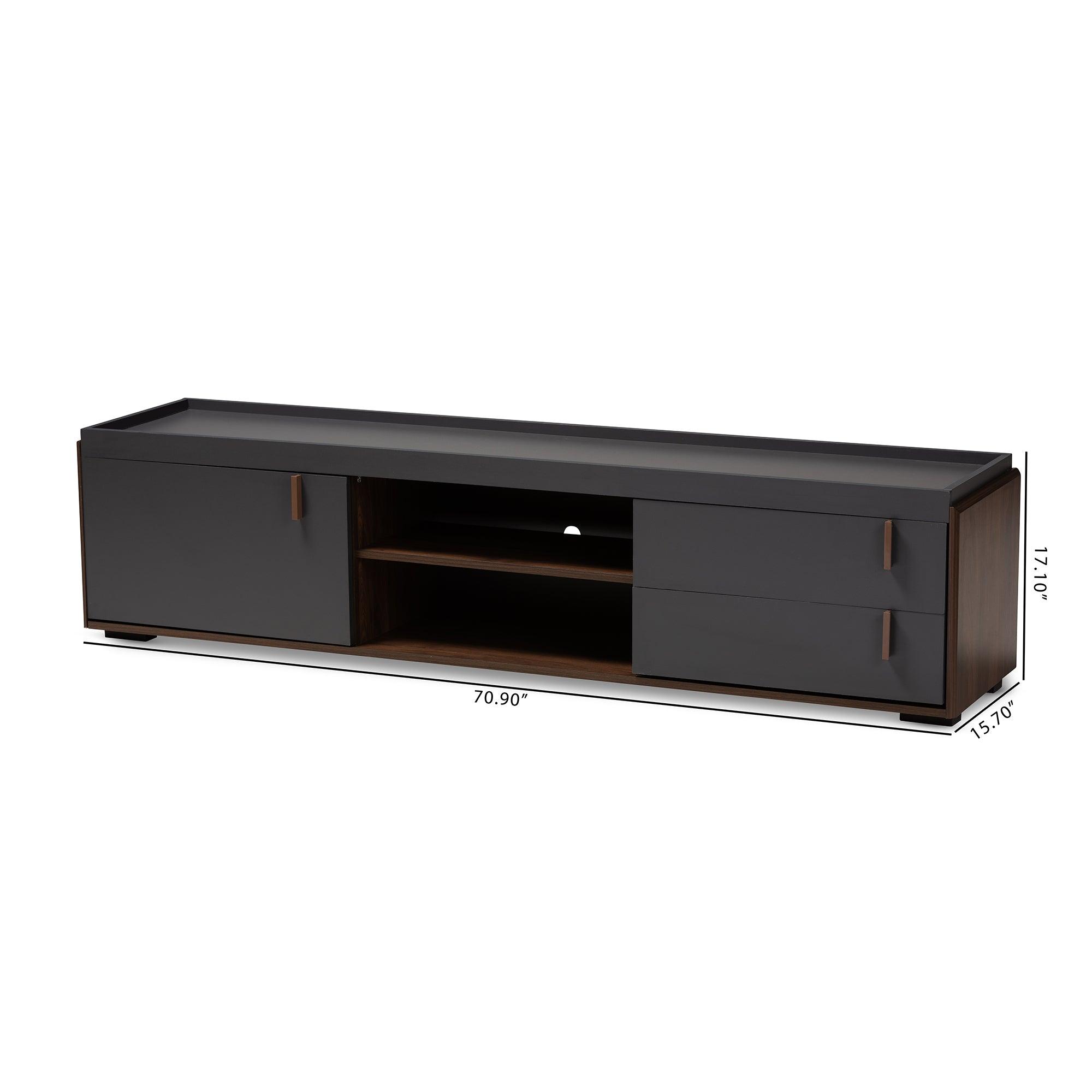 Rikke Modern and Contemporary Two-Tone and Finished Wood 2-Drawer TV Stand