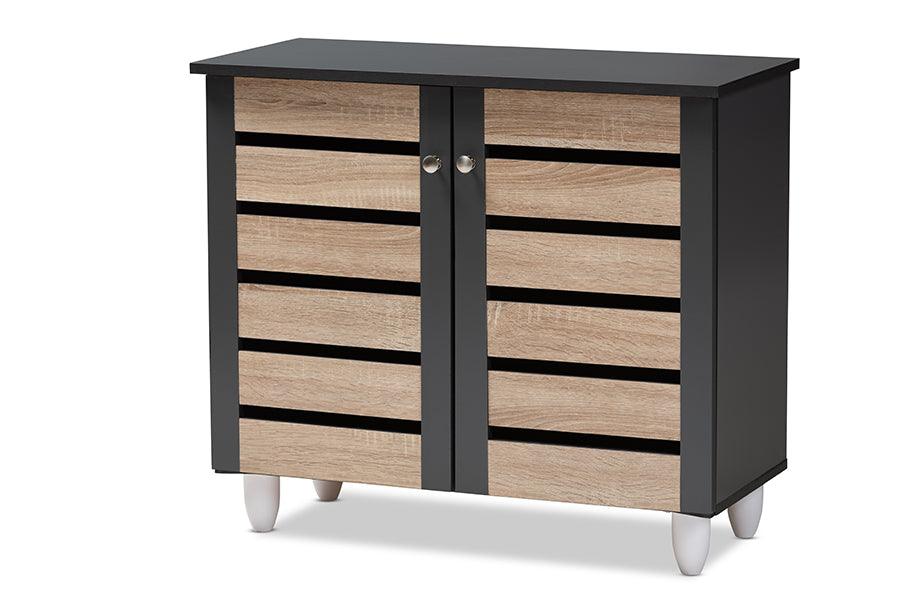 Gisela Modern and Contemporary Two-Tone and 2-Door Shoe Storage Cabinet