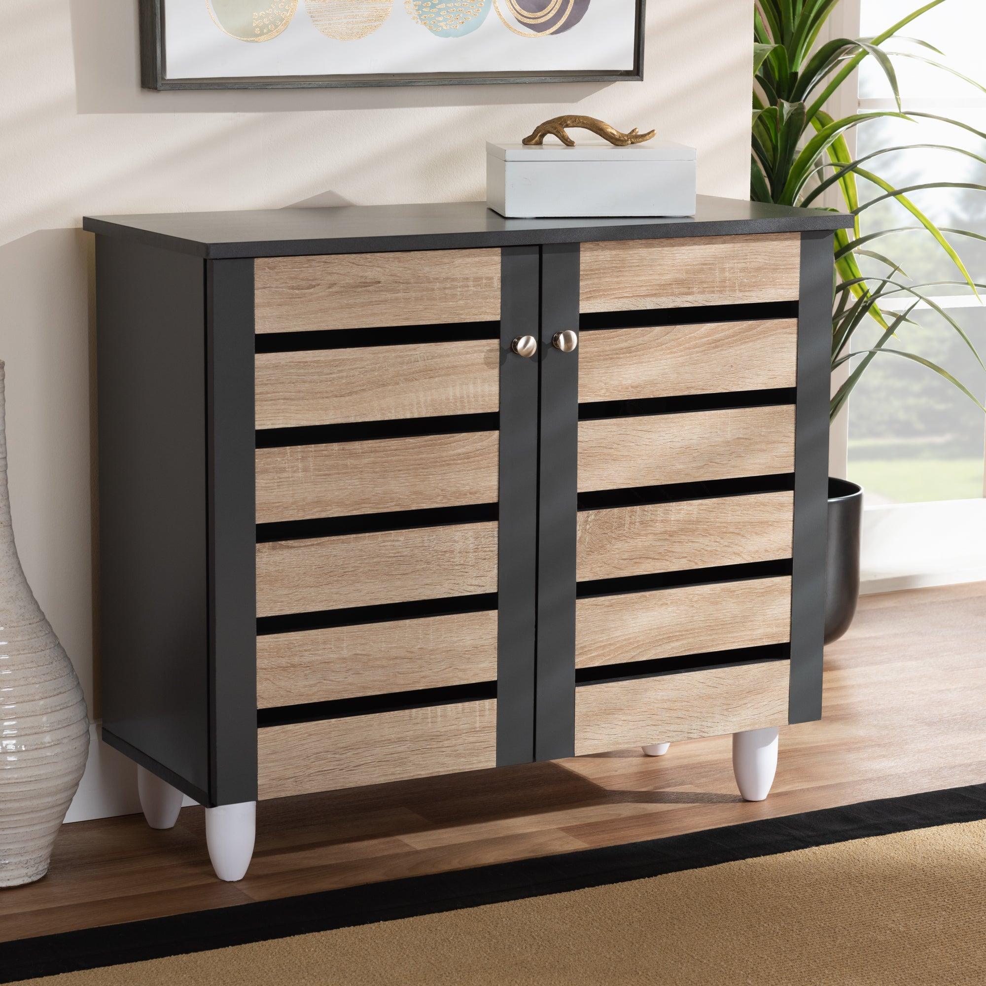 Gisela Modern and Contemporary Two-Tone and 2-Door Shoe Storage Cabinet