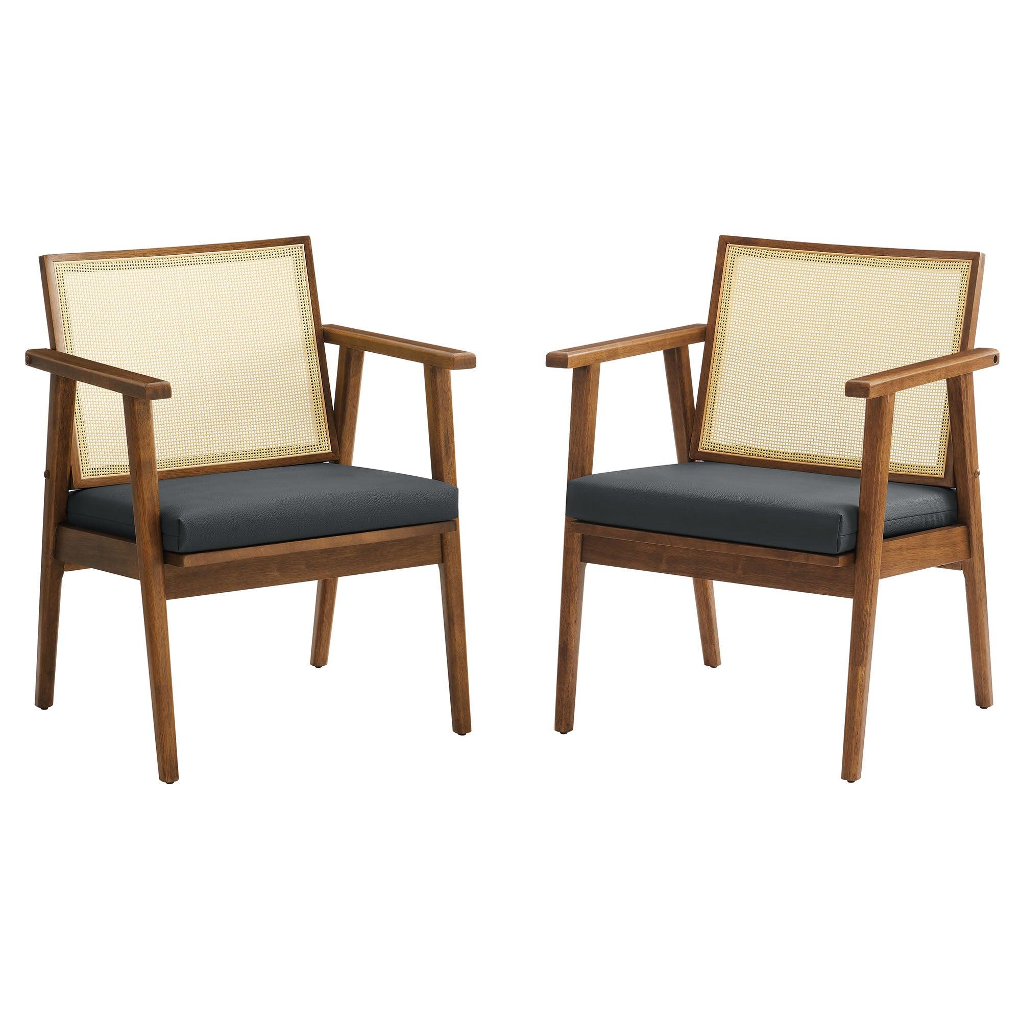 Thera Vegan Leather and Cane Accent Armchairs Set of 2