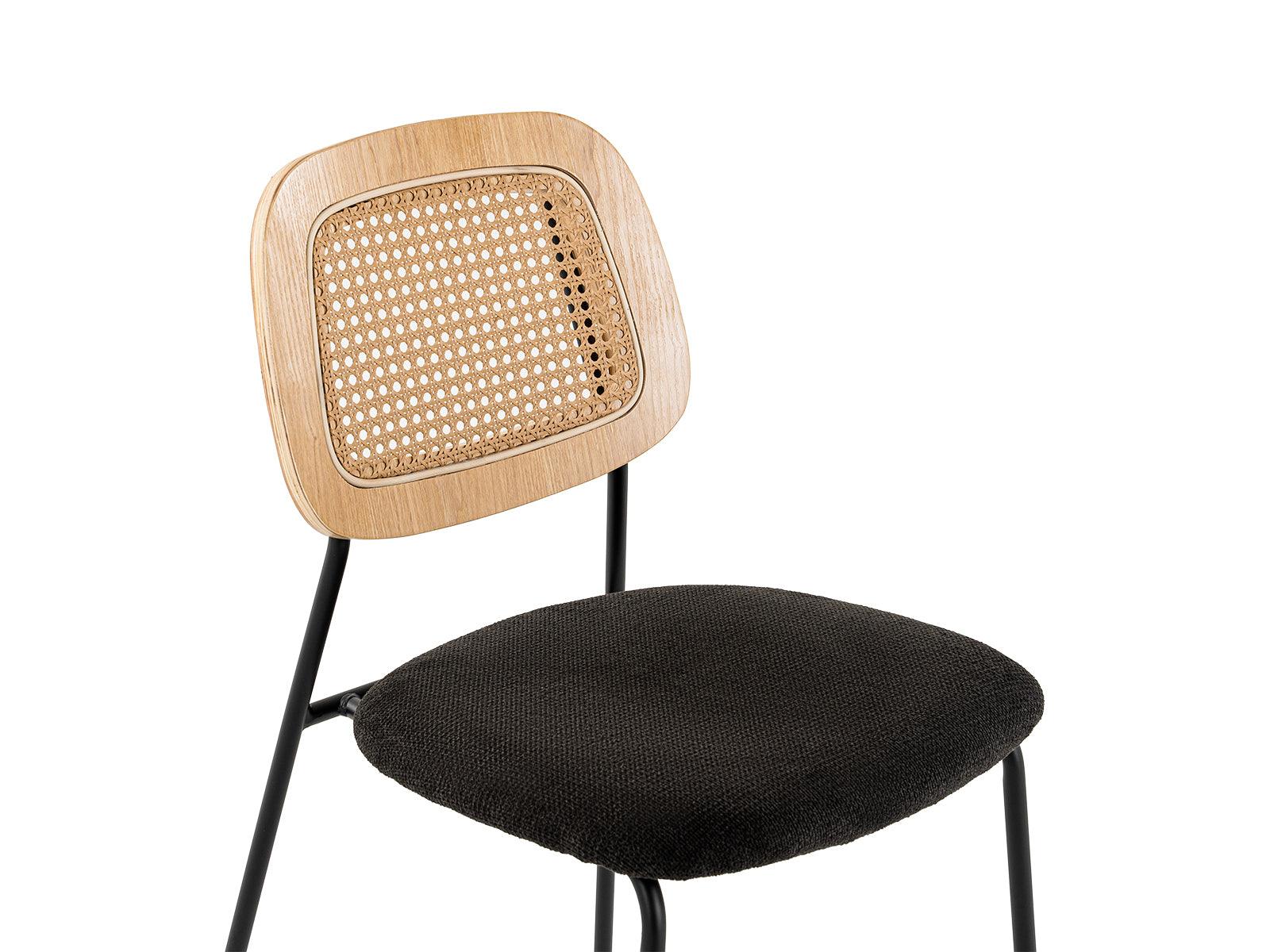 Modern Alizee Modern Rattan and Dining Chair Set of 2