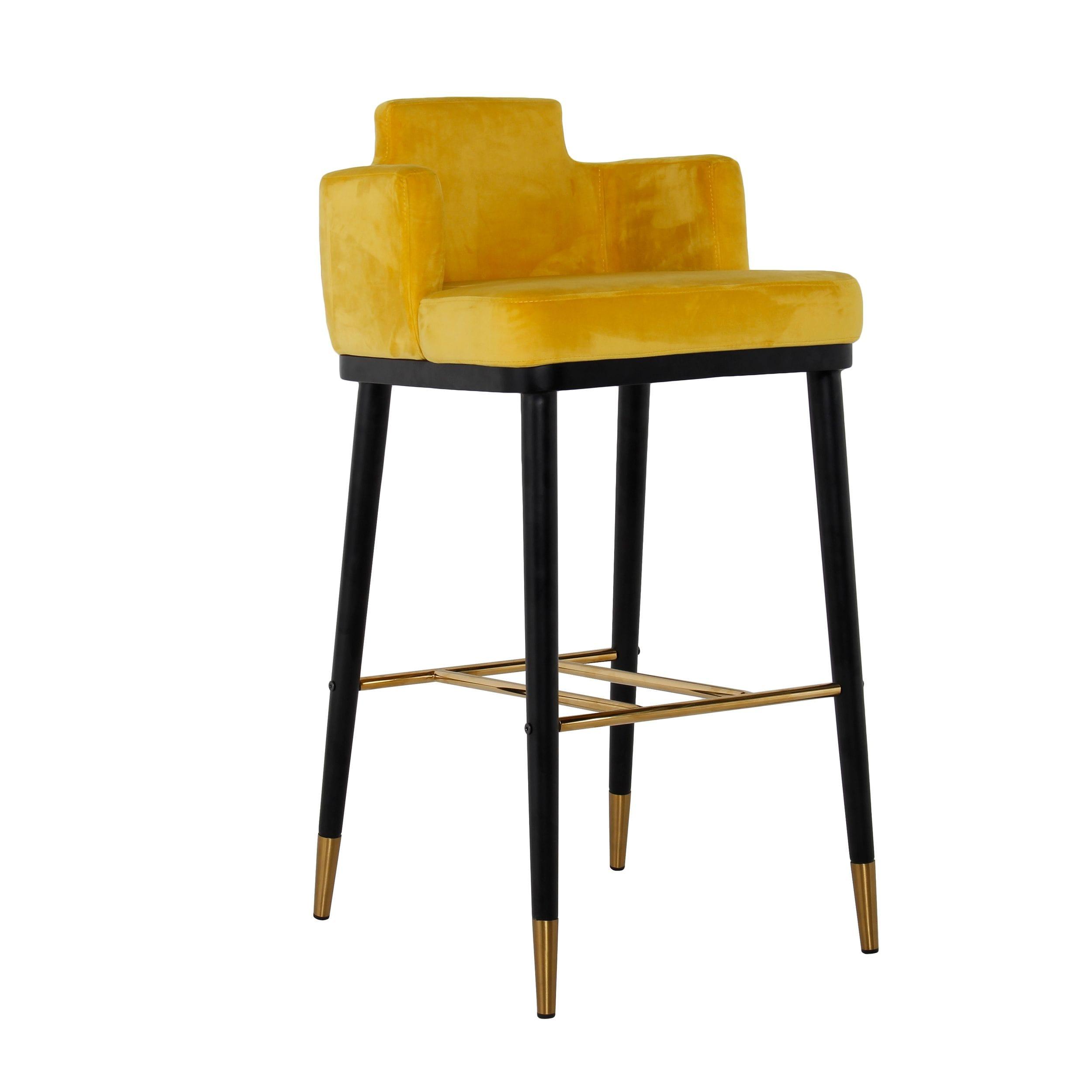 Modrest Conifer Modern Glam Barstool