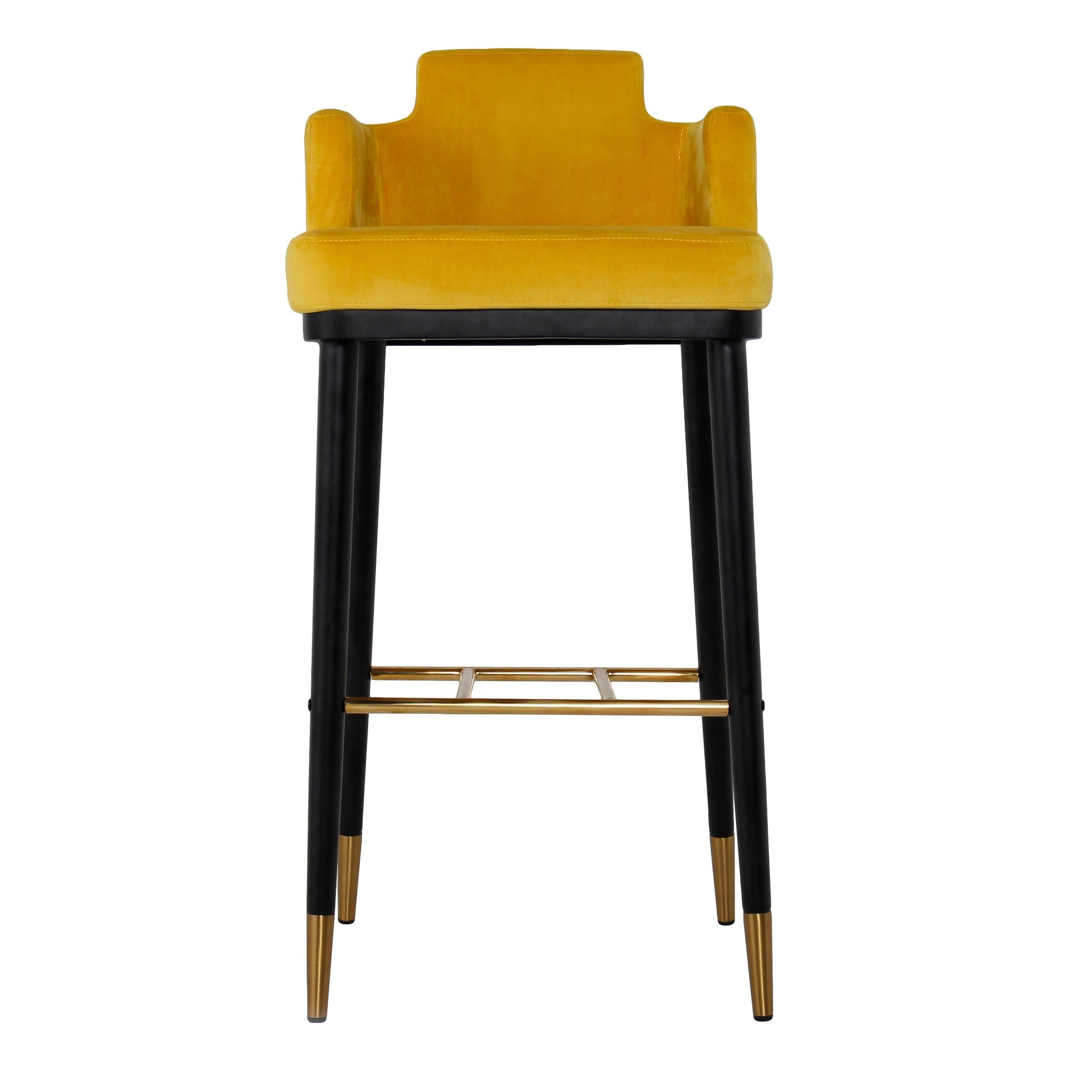 Modrest Conifer Modern Glam Barstool