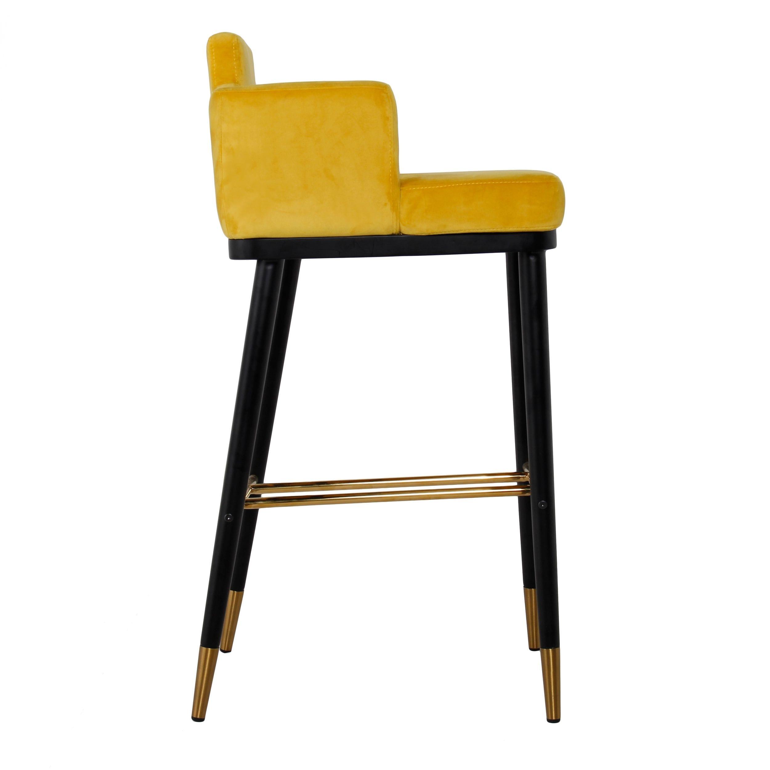 Modrest Conifer Modern Glam Barstool