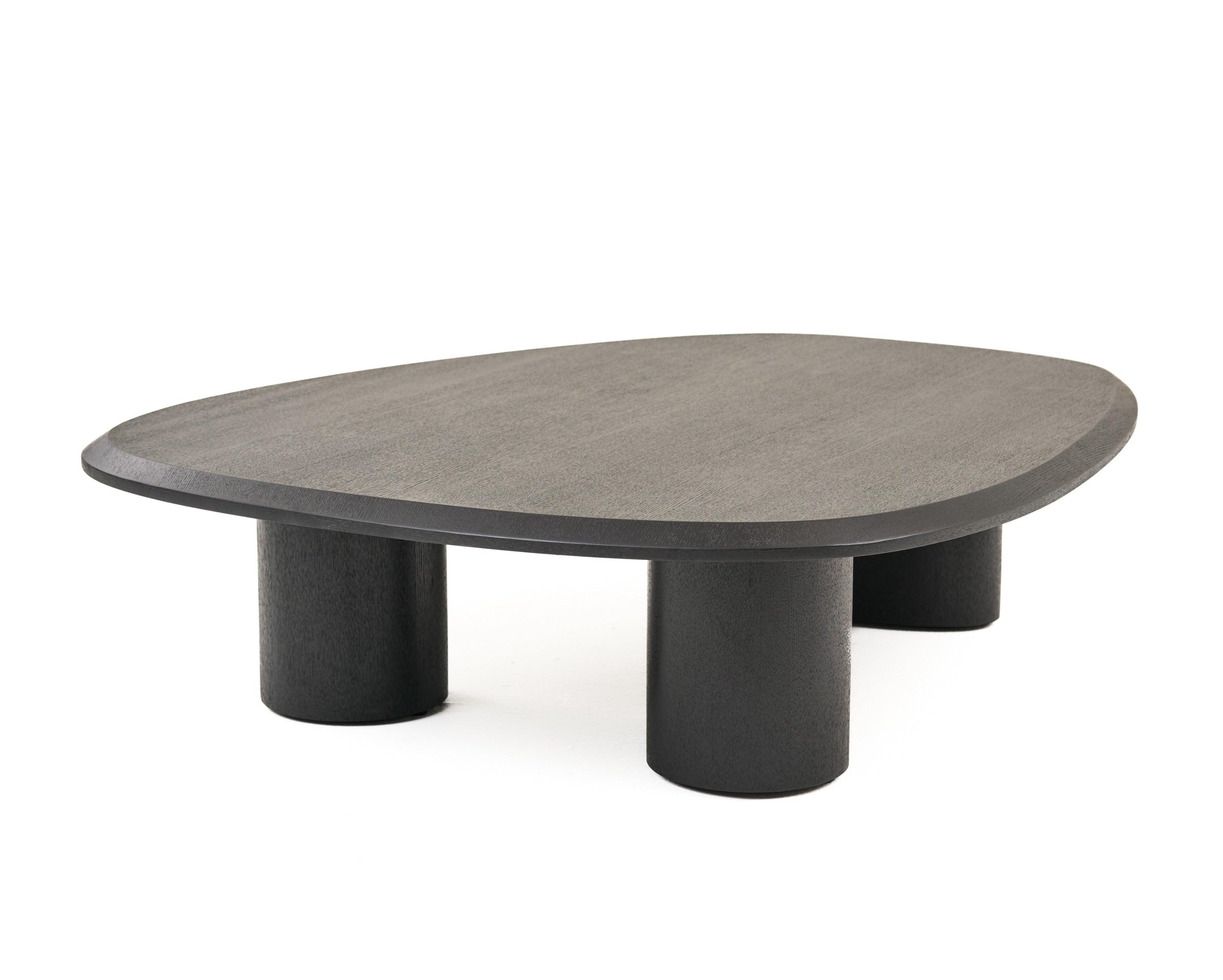 Modrest Summit Modern Ash Coffee Table Set