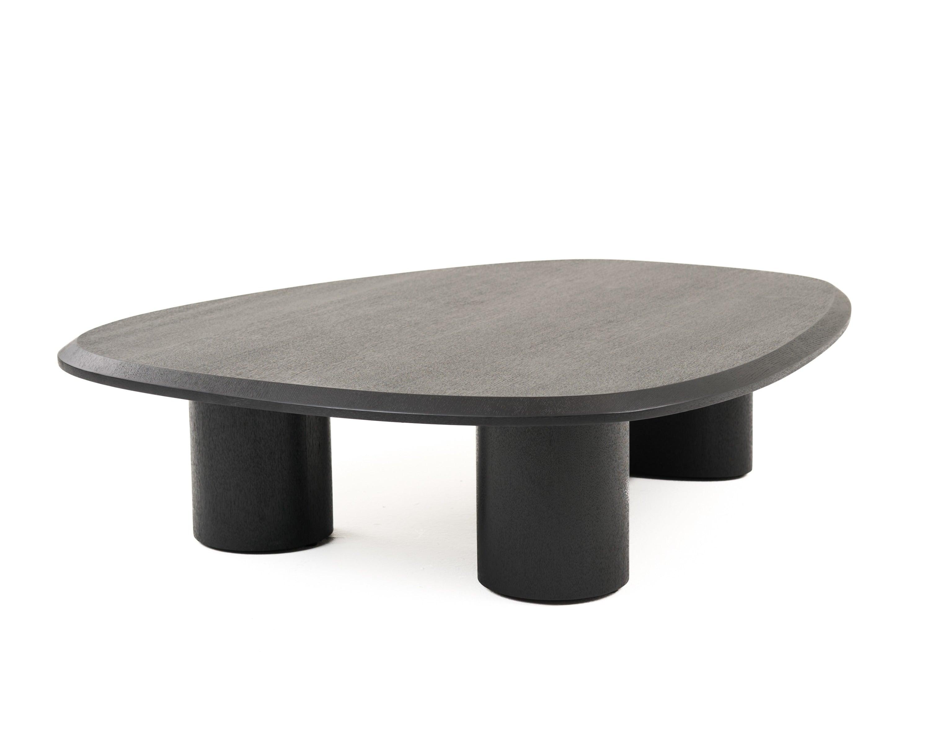 Modrest Summit Modern Ash Coffee Table Set