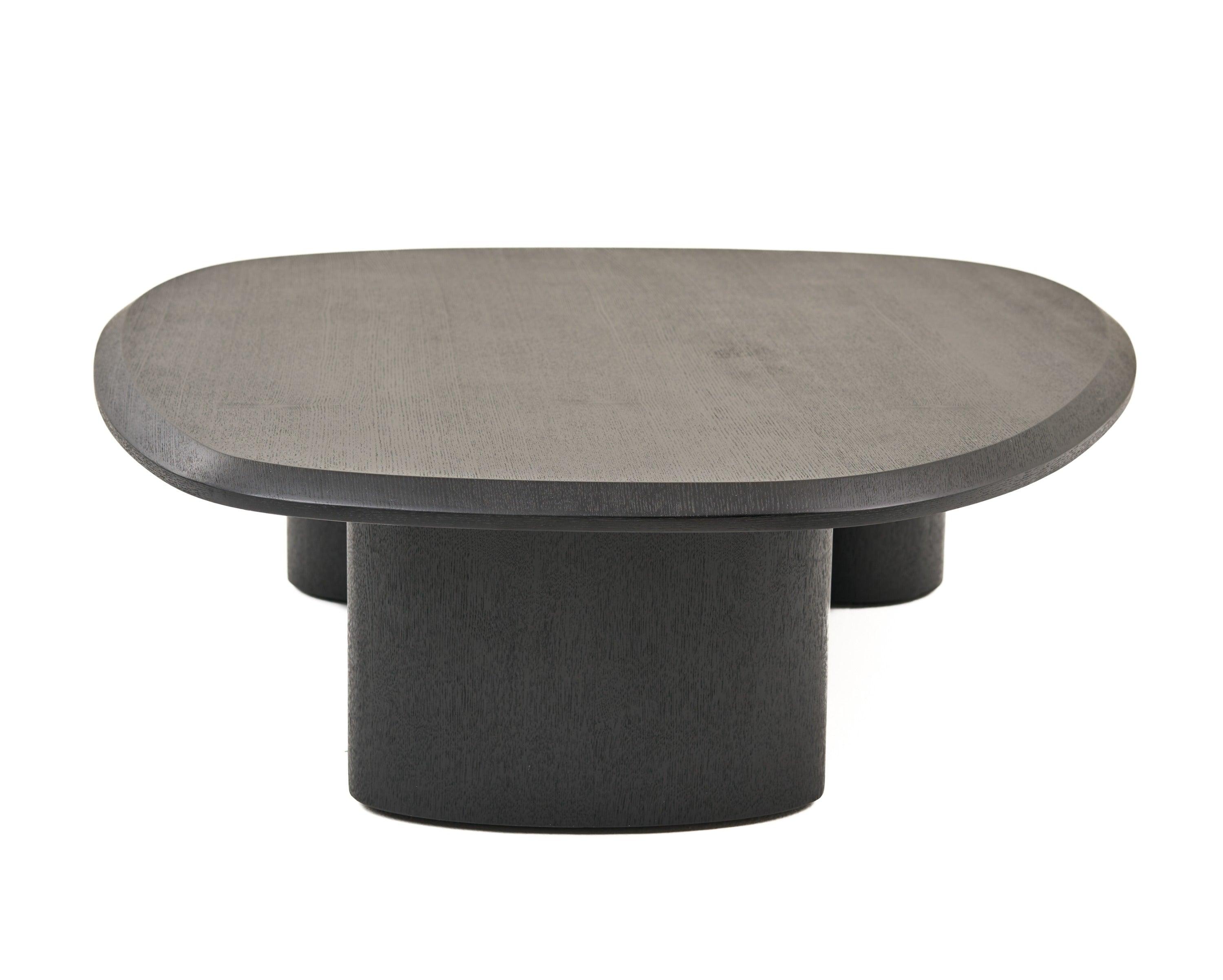 Modrest Summit Modern Ash Coffee Table Set