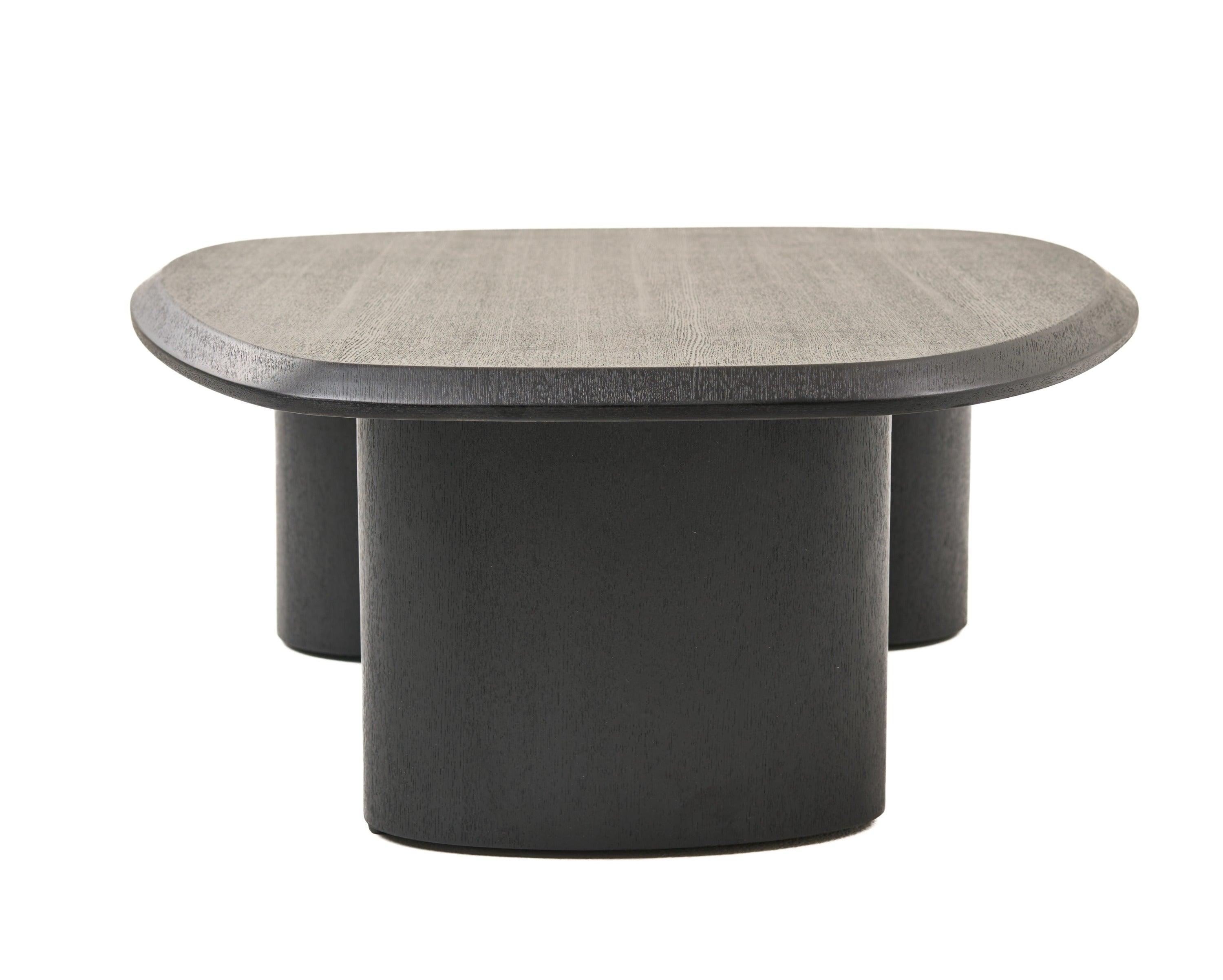 Modrest Summit Modern Ash Coffee Table Set