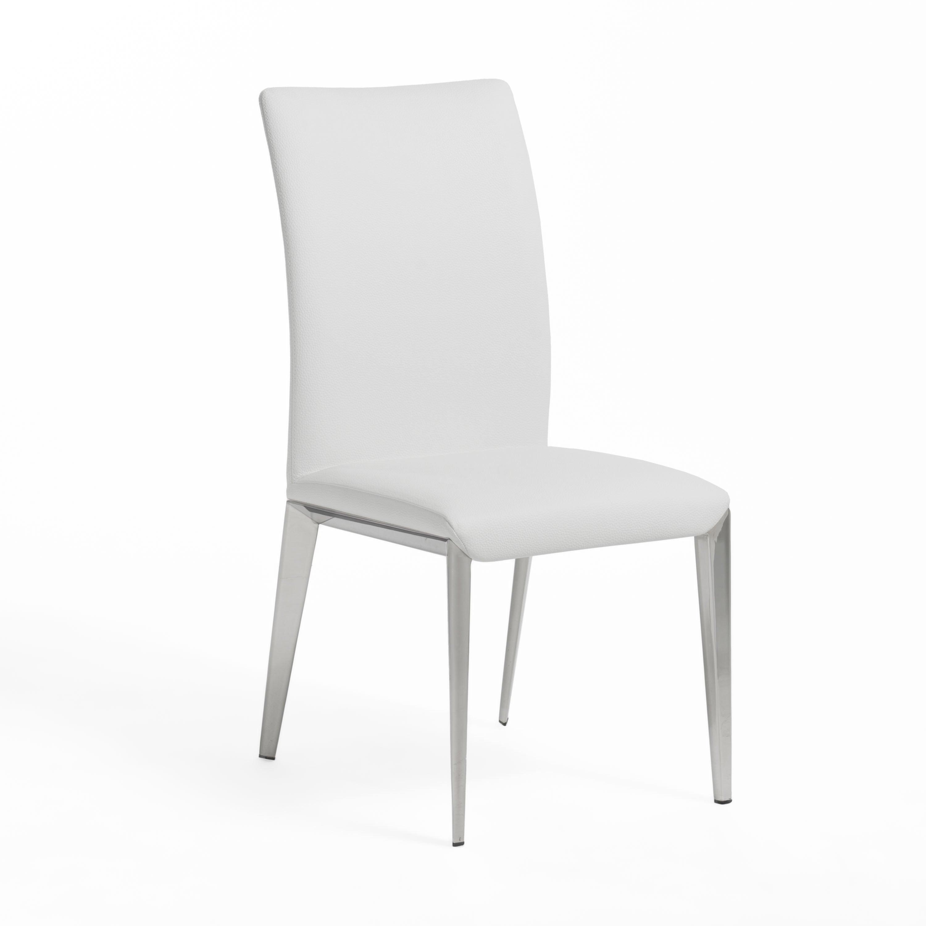 Taryn Modern Dining Chair (Set of 2)