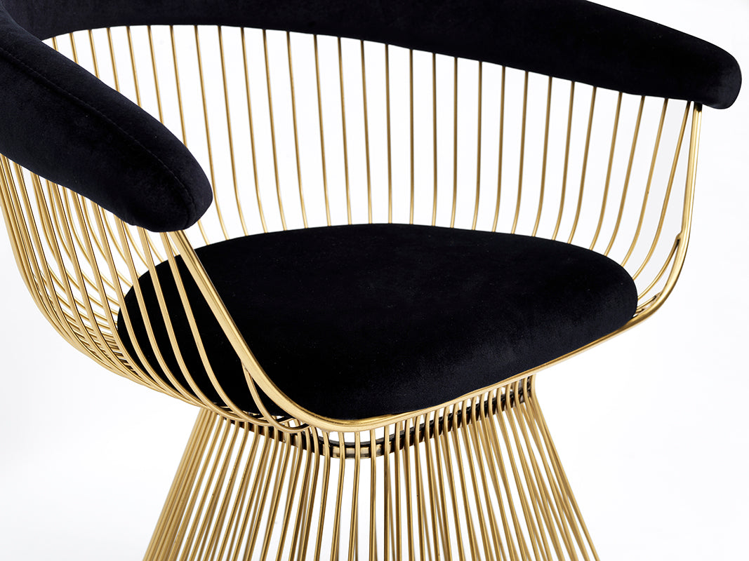 Modrest Chandler Black Velvet & Gold Dining Chair-Dining Chair-VIG-Wall2Wall Furnishings
